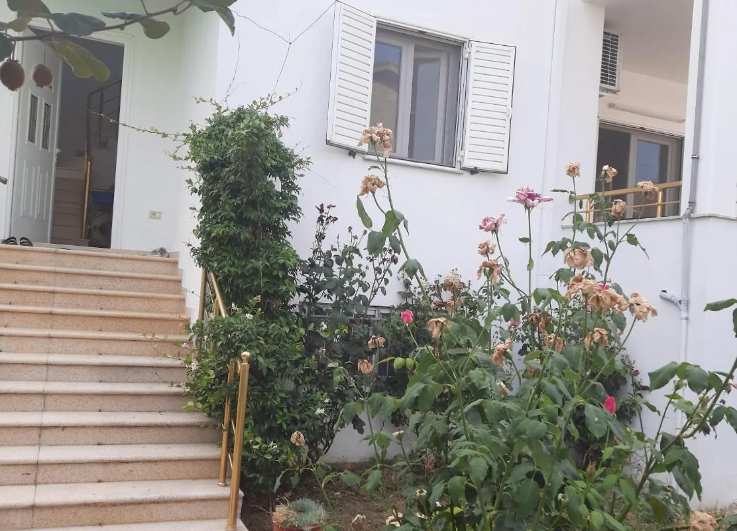Anushe'S Apartament Pogradaş 0*,  Arnavutluk