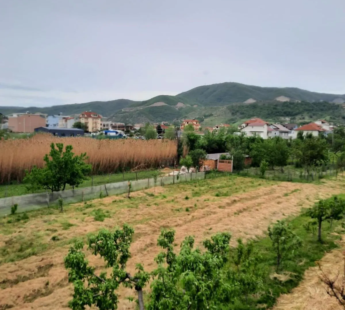 Anushe'S Apartament Pogradaş Daire